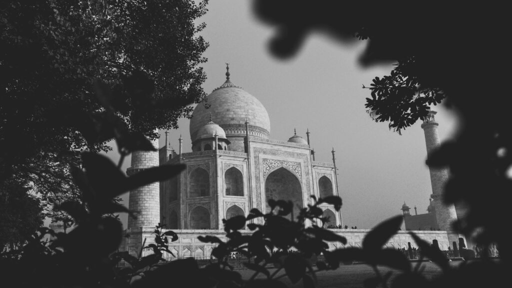Black and white image of Taj Mahal framed by foliage, capturing its majestic beauty.